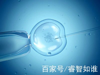国内试管供卵代孕